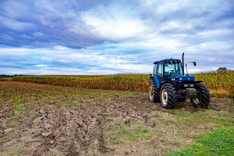 Blue tractor parked in a harvested cornfield