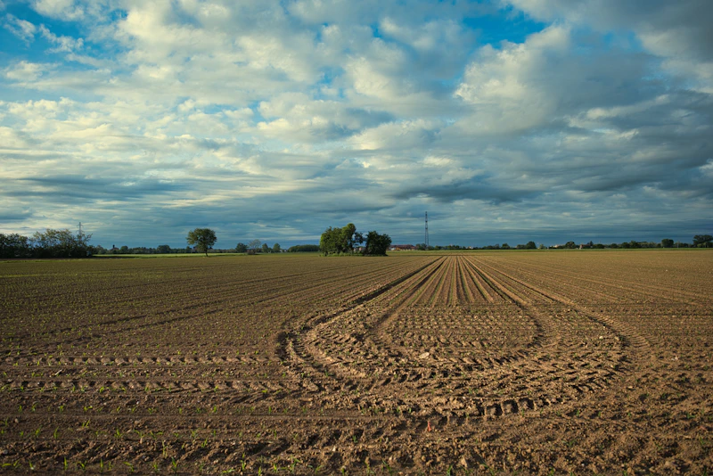 Tractor tracks on a freshly plowed agricultural field