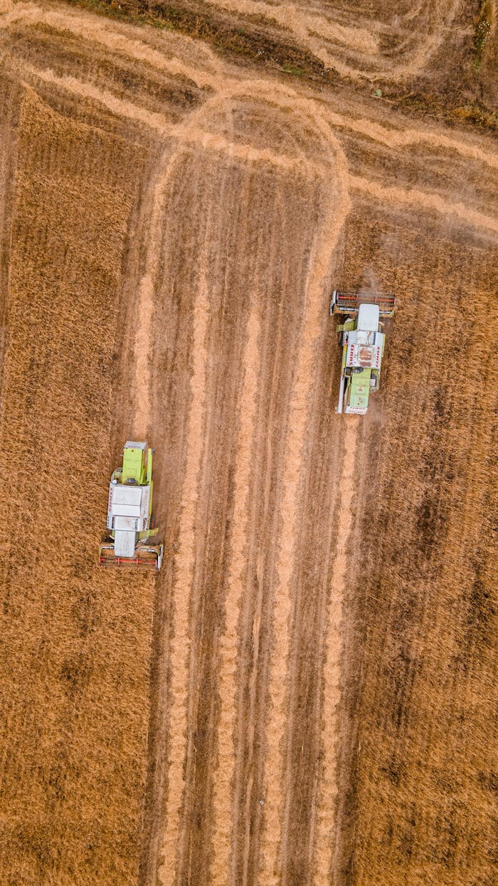 our-stories Top-down view of combine harvesters working in a wheat field in Çeltikçi, Türkiye.
