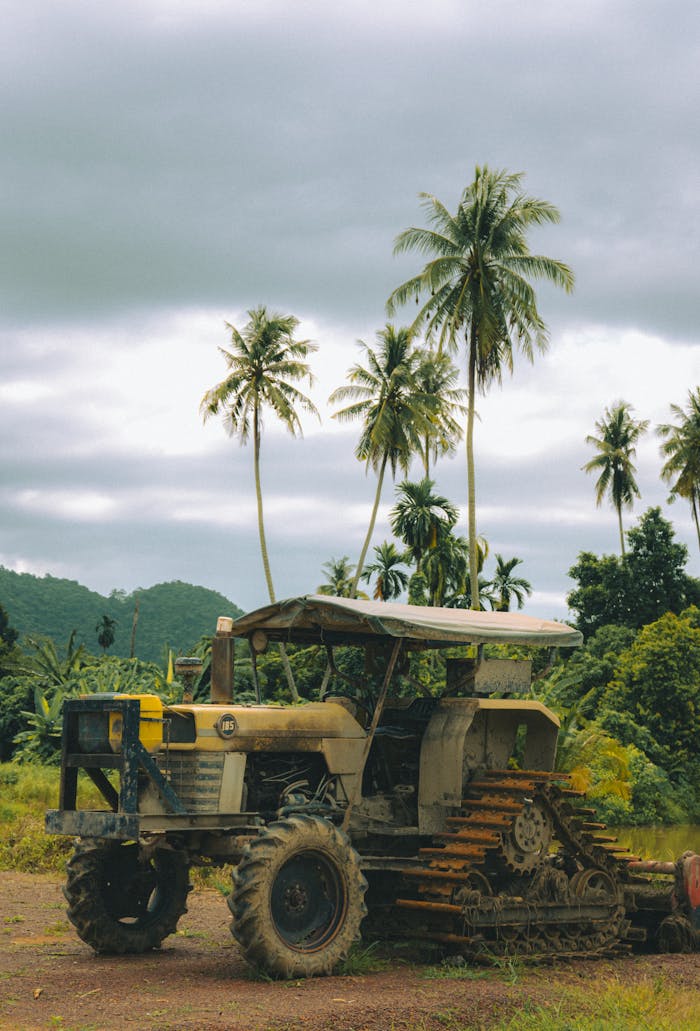 who-we-are A rustic tractor in a tropical field with palm trees, perfect for agricultural themes.